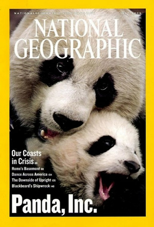 National Geographic July 2006 magazine back issue National Geographic magizine back copy National Geographic July 2006 Nat Geo Magazine Back Issue Published by the National Geographic Society. Our Coasts In Crisis.