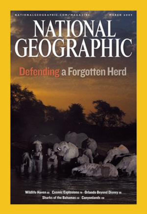 National Geographic March 2007 magazine back issue National Geographic magizine back copy National Geographic March 2007 Nat Geo Magazine Back Issue Published by the National Geographic Society. Defending A Forgotten Herd.