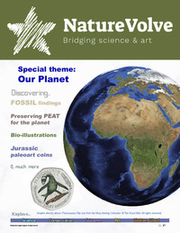 Nature Volve # 9 magazine back issue