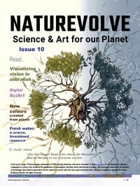 Nature Volve # 10 magazine back issue cover image