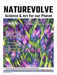 Nature Volve # 11 magazine back issue