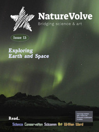 Nature Volve # 13 magazine back issue