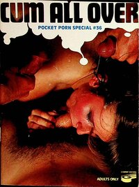 Pocket Porn Special # 36 magazine back issue cover image