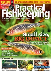 Practical Fishkeeping November 2014 magazine back issue cover image