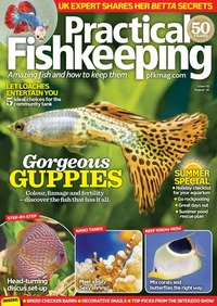 Practical Fishkeeping August 2016 magazine back issue cover image