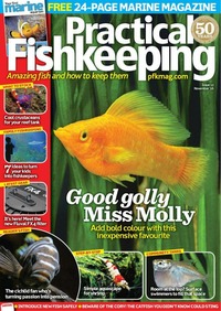 Practical Fishkeeping November 2016 magazine back issue cover image