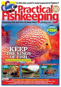 Practical Fishkeeping February 2017 Magazine Back Copies Magizines Mags