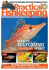 Practical Fishkeeping June 2017 Magazine Back Copies Magizines Mags