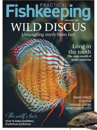 Practical Fishkeeping February 2023 magazine back issue