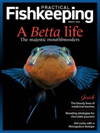 Practical Fishkeeping March 2023 magazine back issue