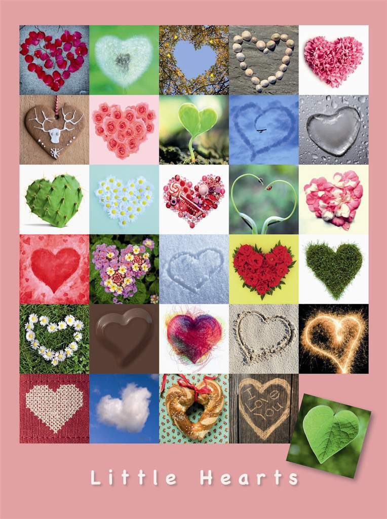 little hearts beauty puzzle ravensburger 1500 pieces # 162949
