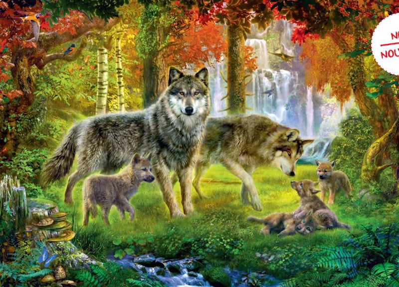 Ravesburger JigsawPuzzle 1000 pieces Summer Wolves meiklejohn beautiful colors 192953 summer-wolves-ravensburger