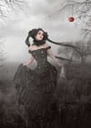 Temptation painted by Ana Cruz 1000 piece jigsaw puzzle manufactured by Ravensburger puzzles gothic