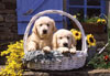Basket of Puppies Ravensburger Jigsaw Puzzle 1000 Pieces jean-michel sotto made by Ravensberger Germ Puzzle