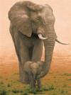 Ravesburger JigsawPuzzle 1500 pieces elephant mother protecting her baby 163960