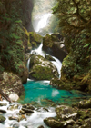 Mackay Falls, New Zealand Ravensburger 1000 Panoramic Piece Jigsaw Jungle Puzzle Cezary Kasprzyk pho