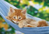 Sabine Rath's photograph of a kitty in a swing ravensburger 1000 piece jigsaw puzzle with softclick  Puzzle