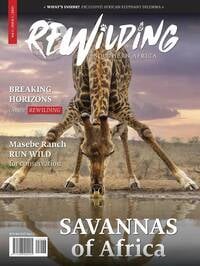 Rewilding Vol. 3 # 1 magazine back issue