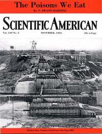 Scientific American November 1933 Magazine Back Copies Magizines Mags