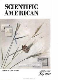 Scientific American July 1953 magazine back issue cover image