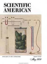 Scientific American May 1954 magazine back issue cover image