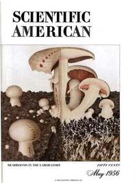Scientific American May 1956 magazine back issue cover image