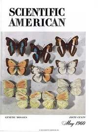 Scientific American May 1960 magazine back issue cover image