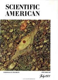 Scientific American July 1971 magazine back issue cover image