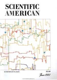 Scientific American June 1981 magazine back issue cover image