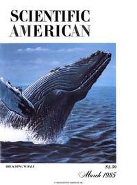 Scientific American March 1985 Magazine Back Copies Magizines Mags