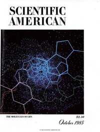 Scientific American October 1985 Magazine Back Copies Magizines Mags