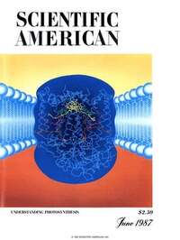 Scientific American June 1987 magazine back issue cover image
