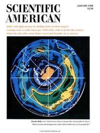 Scientific American January 1988 magazine back issue cover image