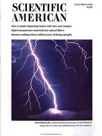 Scientific American November 1988 magazine back issue cover image