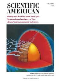 Scientific American May 1993 magazine back issue cover image