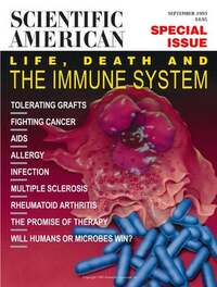 Scientific American September 1993 Magazine Back Copies Magizines Mags