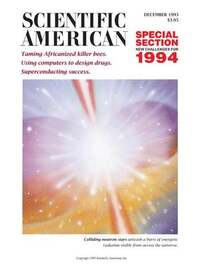 Scientific American December 1993 magazine back issue cover image