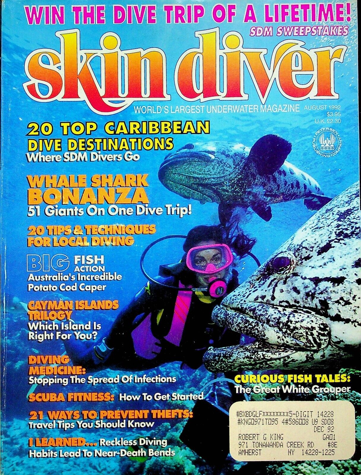 Skin diver august 1992 magazine back issue diver aug 1992