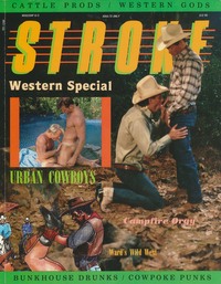 Stroke Vol. 8 # 3 magazine back issue cover image