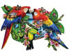 Parrots in Paradise painted by Lori Schory 1000 piece jigsaw puzzle manufactured by sun Puzzle