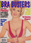 Swank Satin November 1998 - Bra Busters magazine back issue cover image