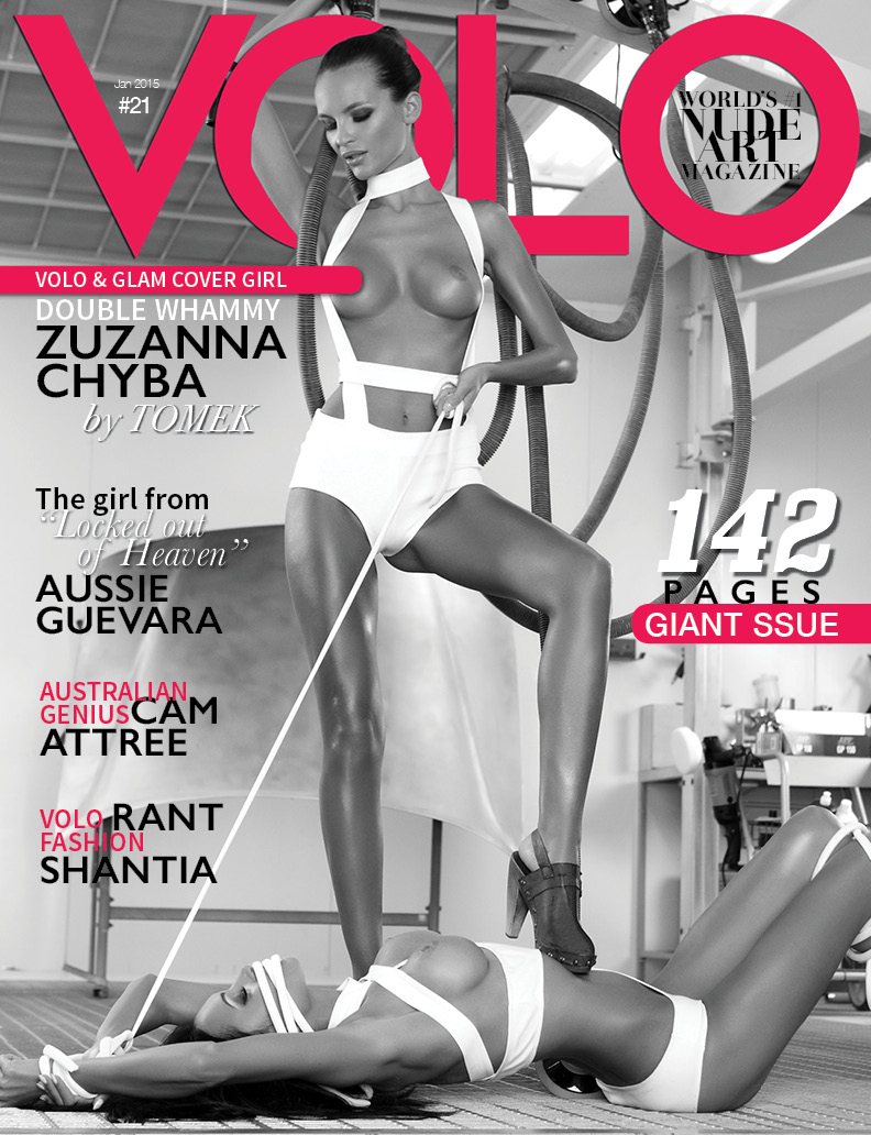 Volo # 21 magazine back issue Volo magizine back copy 