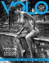 Volo # 41 magazine back issue cover image