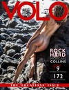Volo # 42 magazine back issue cover image