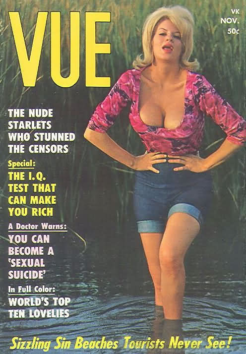 Vue November 1965 magazine back issue Vue magizine back copy 