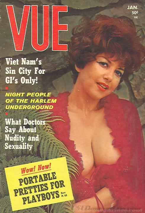Vue January 1967 magazine back issue Vue magizine back copy 