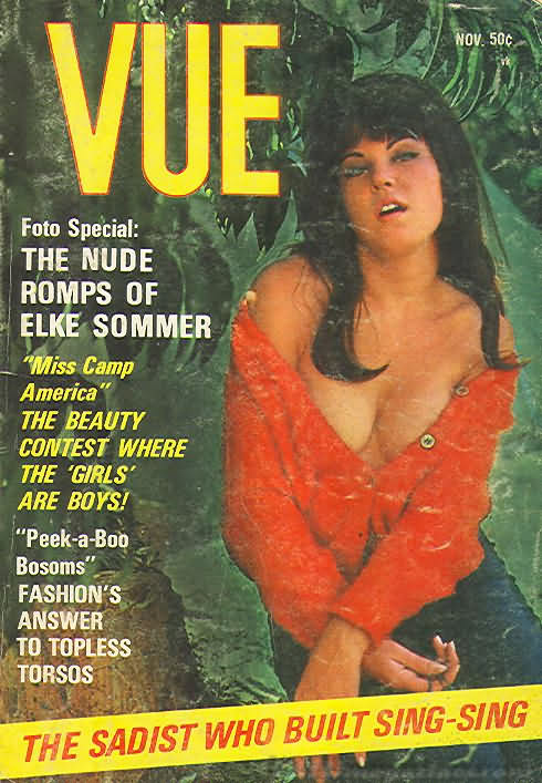 Vue November 1967 magazine back issue Vue magizine back copy 