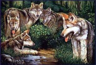 jigsaw puzzle of wolf family, wolves in springtime, wrebbit perfalock 1000 pieces wolvesinspringtime