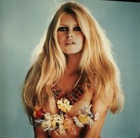 Brigitte Bardot Celebrity Poster Photograph