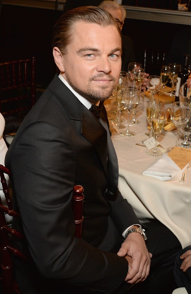 Leonardo Wilhelm DiCaprio Photograph/Poster/Print, , This picture